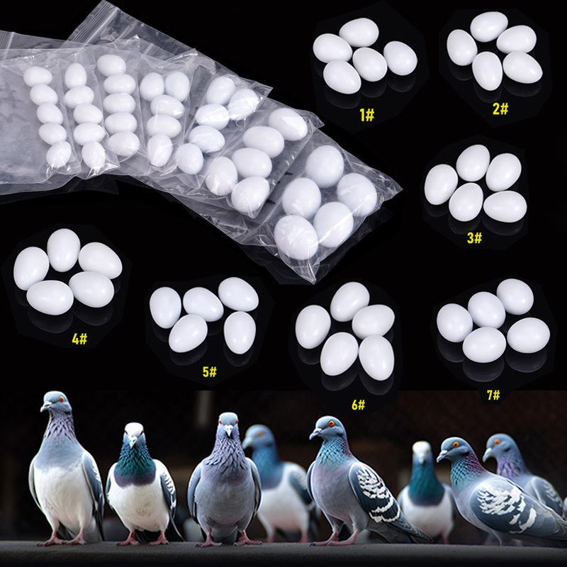 10/20 pièces en plastique réal - Hunting Quail avis et prix