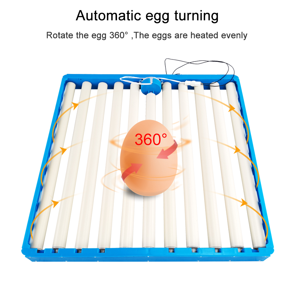 Incubateur de 70 œufs automati - Hunting Quail avis et prix
